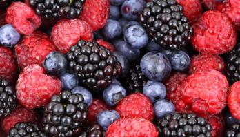 Vruchtenvullingen zonder toegevoegde suikers alternatieven voor pectines